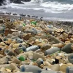 Astuces pour réduire les déchets plastiques au quotidien