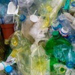 Les nouveaux enjeux liés à l’écotoxicologie microbienne et la pollution plastique